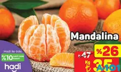 MANDALİNA KG MANDALİNA KG